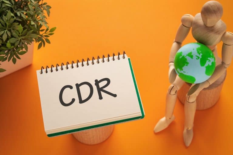 What Is Carbon Dioxide Removal? Top Buyers and Sellers of CDR Credits in 2024