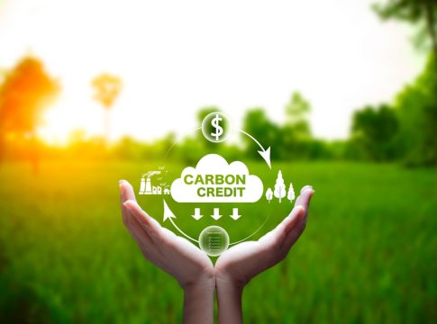 How Carbon Credit Projects Contribute To Sustainability and Profitability