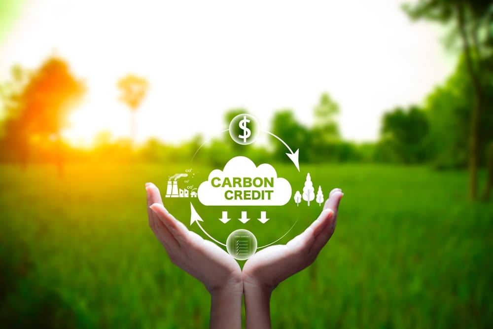 How Carbon Credit Projects Contribute To Sustainability and Profitability