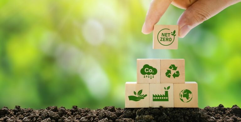 84% of Companies Are Doubling Down on Climate Targets, PwC Reports