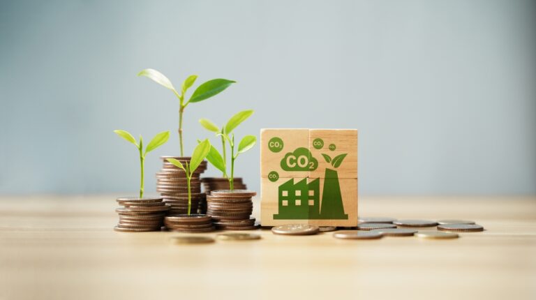 VCM Makeover in 2024: Carbon Credit Trading Drops 25%, Removals Soar 381%