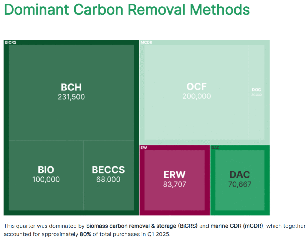 Biomass Gets a Boost: What the CREST Act Means for Carbon Removal