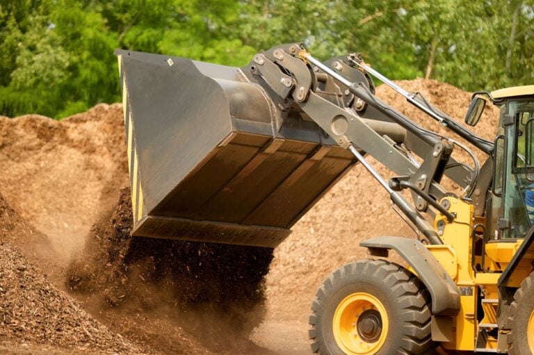 Biomass Gets a Boost: What the CREST Act Means for Carbon Removal