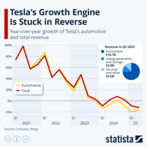 Tesla growth reverse