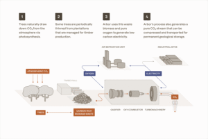 Arbor carbon capture or removal process
