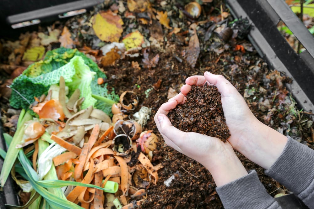 Microsoft and Vaulted Deep Team Up to Unlock Almost 5M Ton of Carbon Removal from Organic Waste