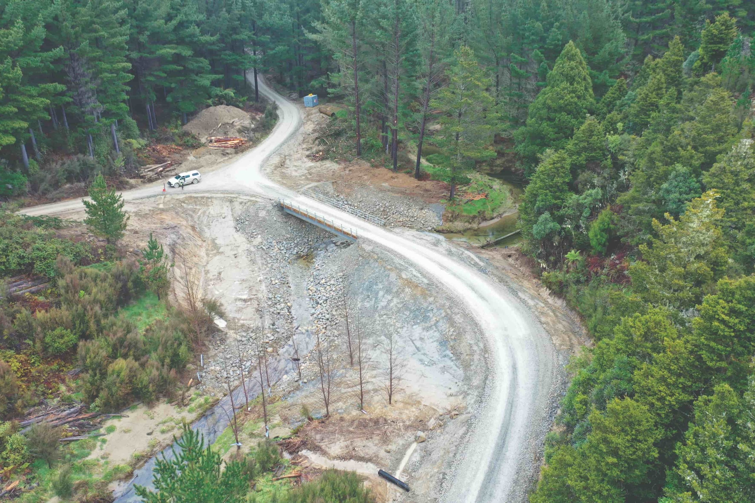 Environmental Forestry 2026