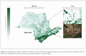 Meta AI forest map