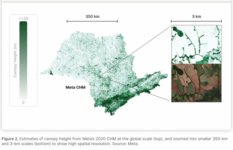 Meta’s AI Forest Map: The Game-Changer for Carbon Tracking