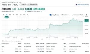 tsla stock