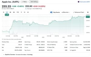 APPLE AAPL Stock
