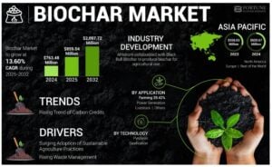 biochar market
