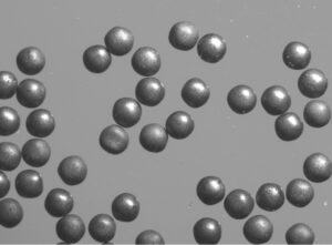 triso particles