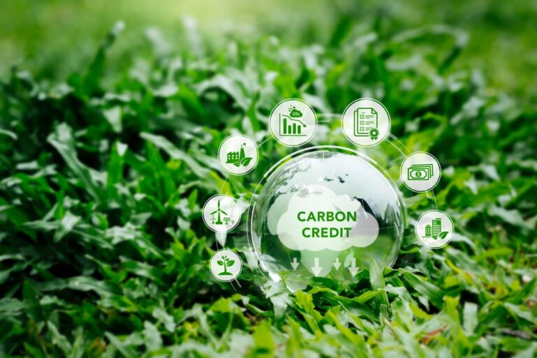 Carbon Credits Supply to Skyrocket 35x by 2050 – But at What Price?