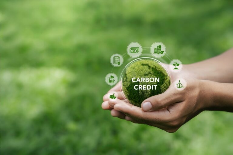 Are Nature-Based Solutions and Blockchain the Future of Carbon Credits?