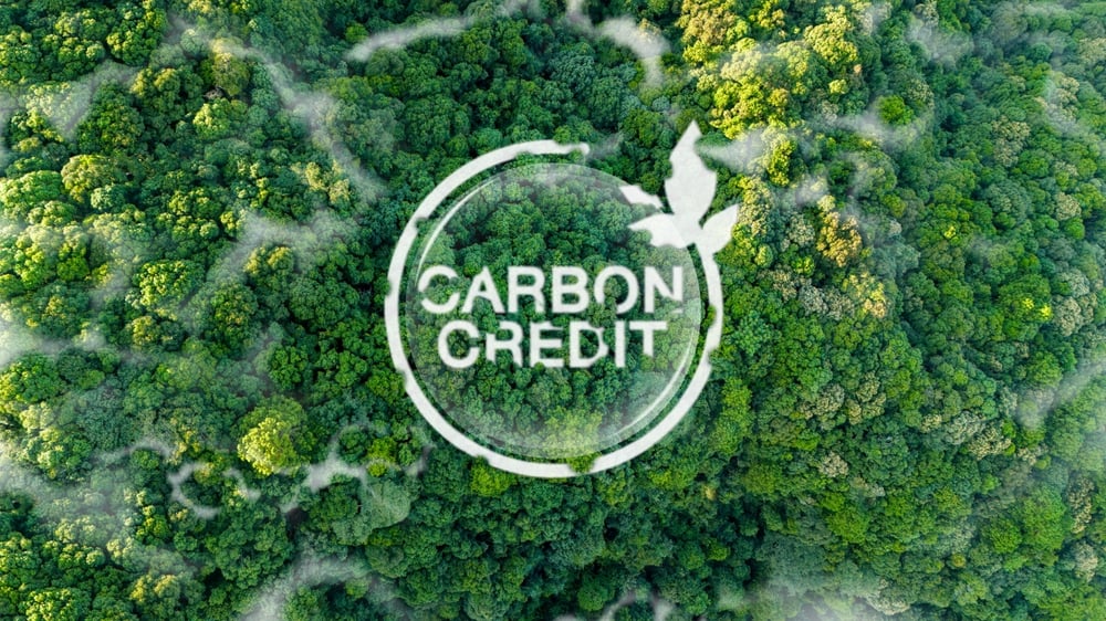 carbon credits