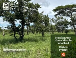 Zambia’s Miombo Woodlands Carbon credits