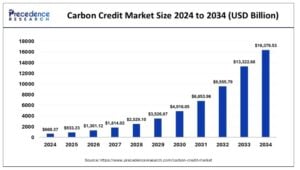 carbon credit maket
