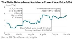 nature-based carbon credits price