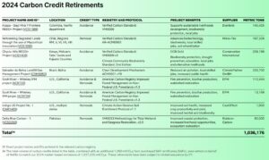 netflix carbon credit retirements 2024