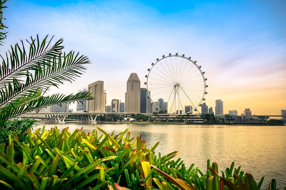 Singapore to Buy $76.4M Worth of Nature-Based Carbon Credits