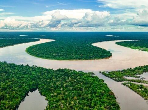 Amazon's $20B Carbon Credit Boom? Brazil’s REDD+ Faces Integrity and Demand Test