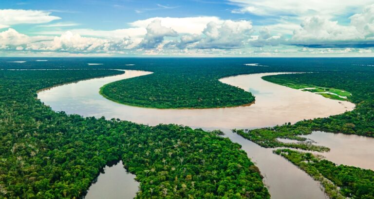 Amazon’s $20B Carbon Credit Boom? Brazil’s REDD+ Faces Integrity and Demand Test