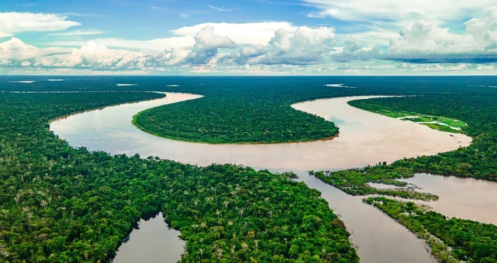 Amazon's $20B Carbon Credit Boom? Brazil’s REDD+ Faces Integrity and Demand Test