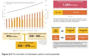 Indonesia’s carbon market potential