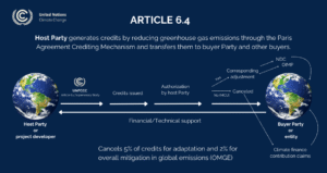 article 6.4 PACM