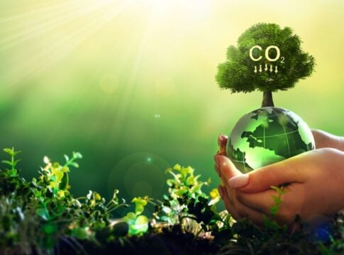 Carbon Credit Market Gains Integrity With ICVCM's Approval of 6 New Removal Standards
