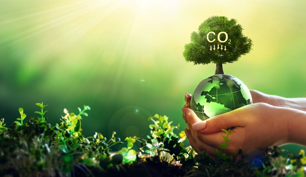 Carbon Credit Market Gains Integrity With ICVCM's Approval of 6 New Removal Standards