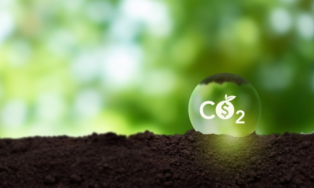Study Finds Carbon Offsets Failing to Deliver Real Climate Impact