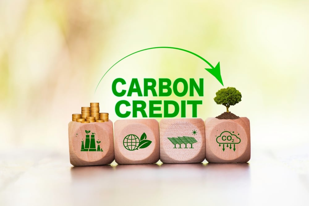 UN Endorses First Article 6.4 Carbon Credit Methodology, Unlocking Billions for Global Carbon Markets