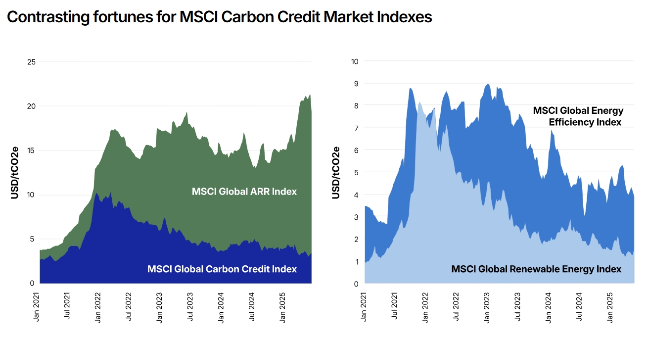 Voluntary Carbon Credit Market Size, Trends and Forecast 2026 to 2035