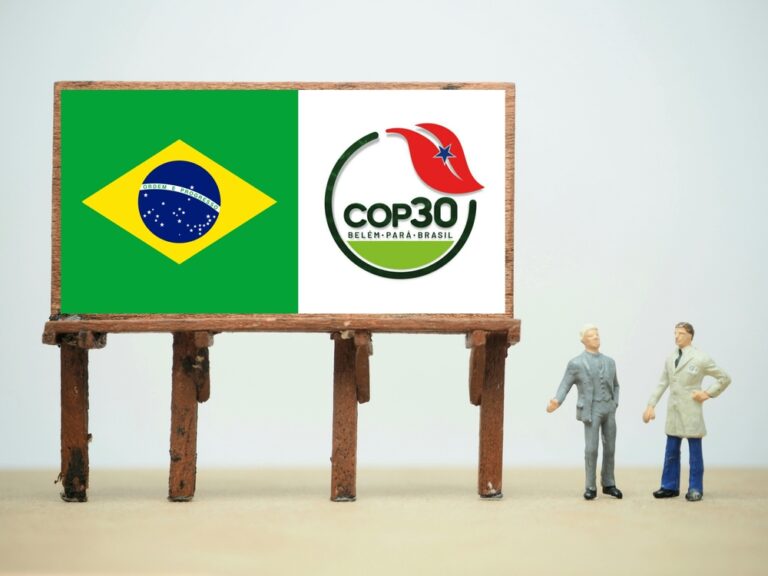 Indonesia Aims to Sell $1B Carbon Credits at COP30, While Other Countries Step Up Their Carbon Plans