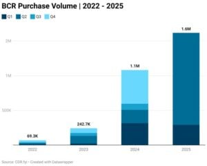 biochar carbon credit purchase