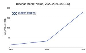 biochar market value 2022 to 2024
