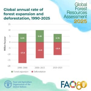 forest expansion vs deforestation 2015 2025