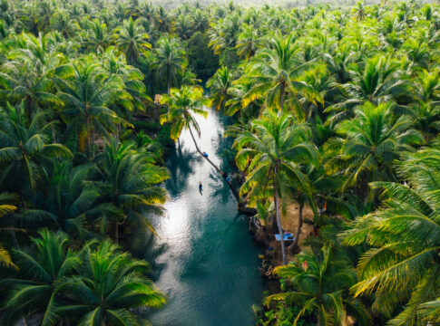 Toward a Climate-Resilient Philippines: Leveraging Technology and Carbon Finance for Reforestation
