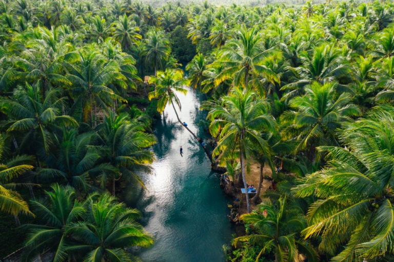 Toward a Climate-Resilient Philippines: Leveraging Technology and Carbon Finance for Reforestation
