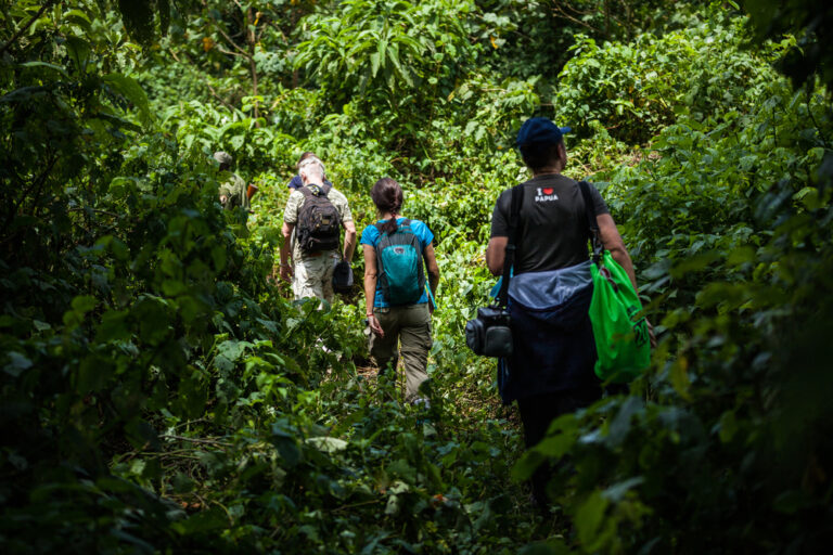 Africa’s Forests Are Now Emitting Carbon Instead of Absorbing It