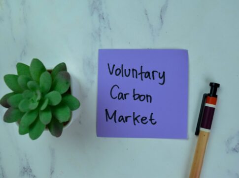 A Recap of the Voluntary Carbon Market: Quality Over Quantity