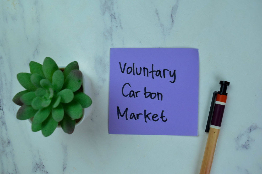 A Recap of the Voluntary Carbon Market: Quality Over Quantity