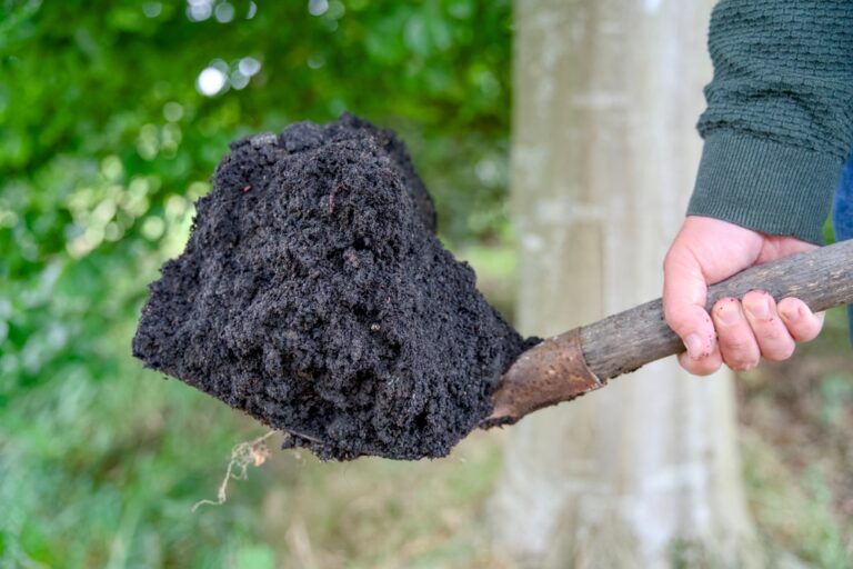 Biochar Carbon Credits in 2025: Stable Prices Amid Weakening Demand