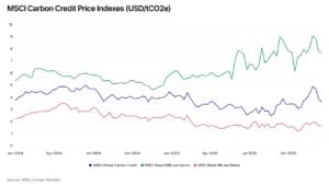 carbon credit prices