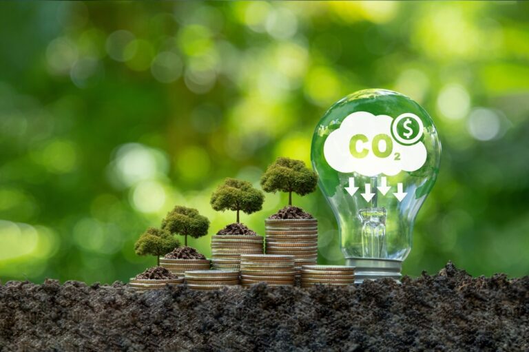 $100B at Stake: New Joint Venture Builds Digital Backbone for Article 6 Carbon Markets