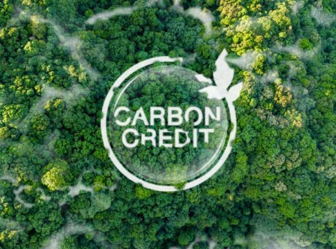 Carbon Credit Market Heads Toward $270 Billion by 2050 as Quality Reshapes Demand