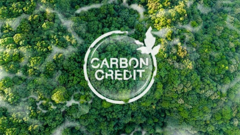 Carbon Credit Market Heads Toward $270 Billion by 2050 as Quality Reshapes Demand