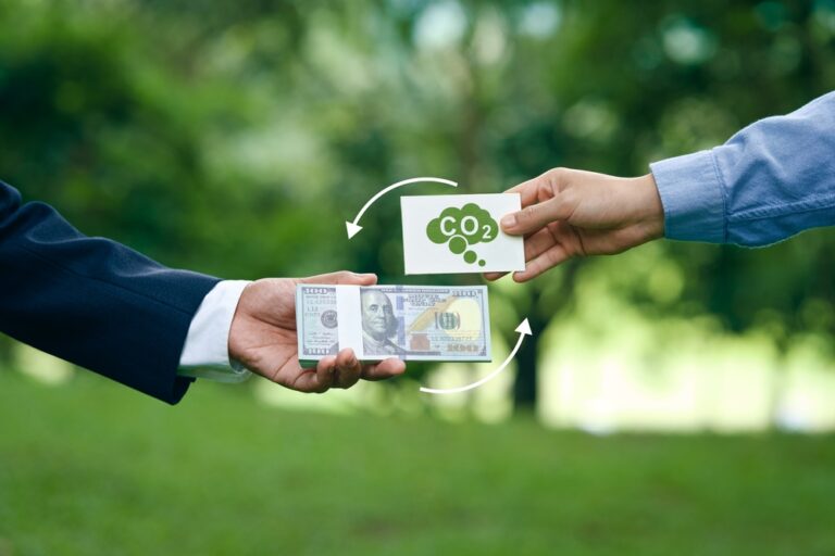 Carbon Credit Offtakes Surge in 2025: What the $12B Says About the Future Market?